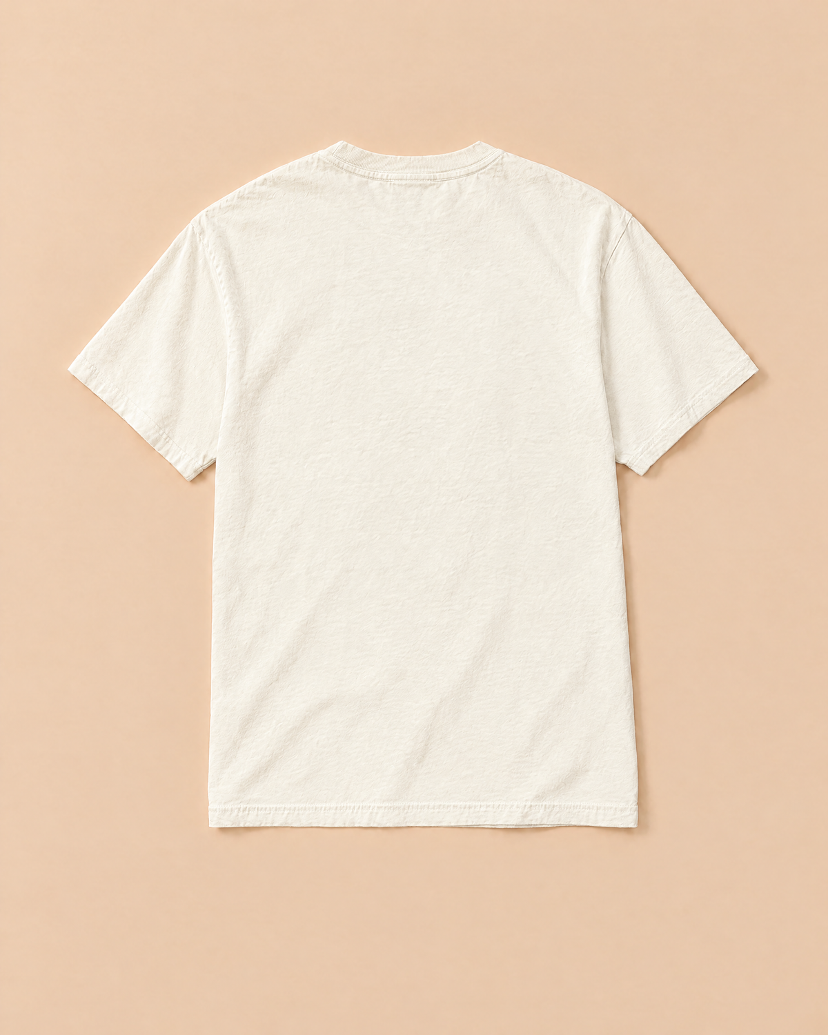 412 Dinosaurs tee in ivory, plain back
