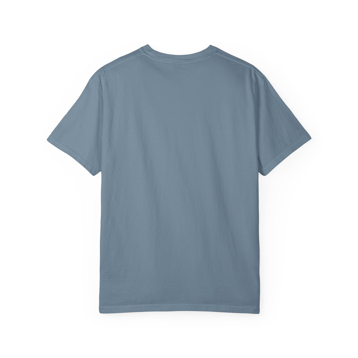 Snow Day, Not on the Schedule Tee