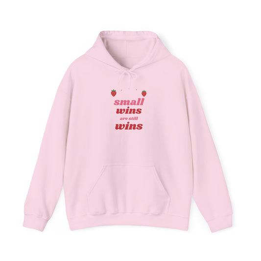 Small Wins Are Still Wins Hoodie